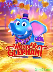 WonderElephant: Descubra o Jogo Fascinante com 31M.com